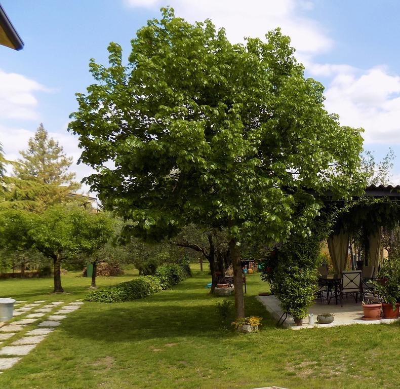 Due Archi Bed and Breakfast SantʼAmbrogio di Valpolicella Buitenkant foto