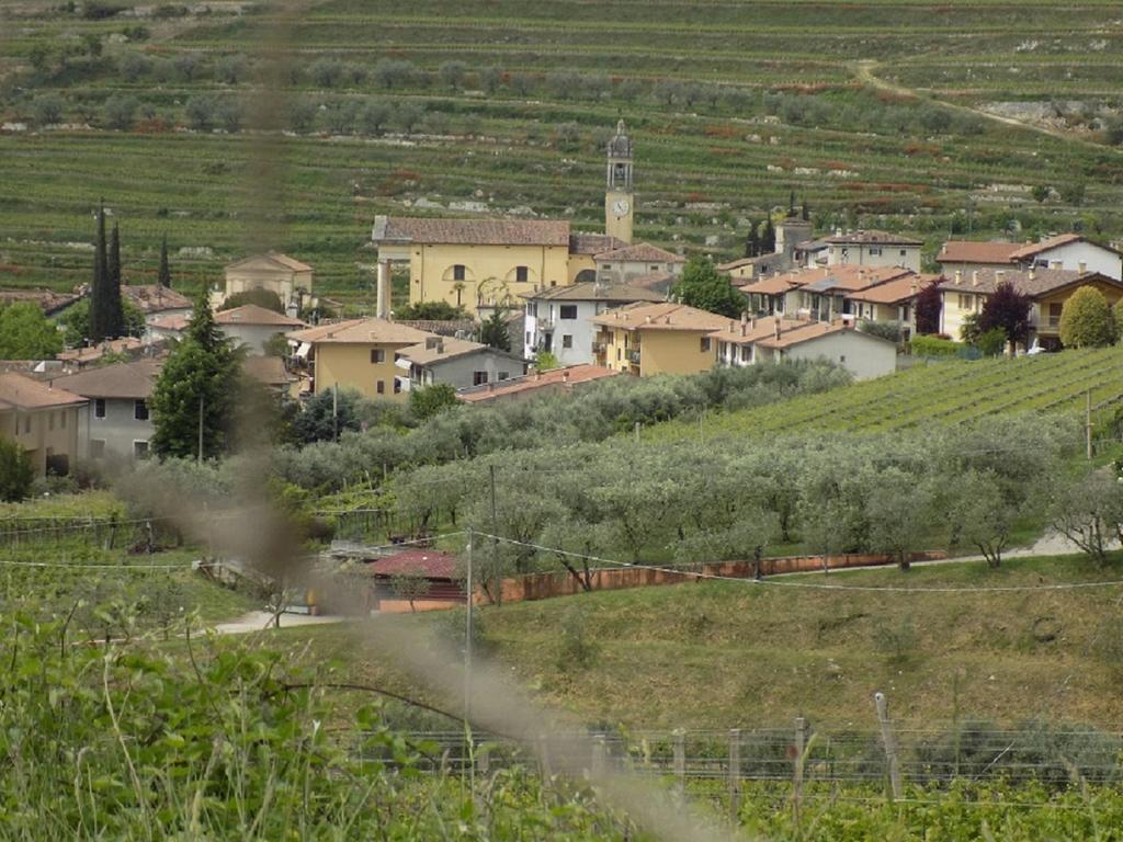 Due Archi Bed and Breakfast SantʼAmbrogio di Valpolicella Buitenkant foto